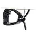 Franck Provost Pince